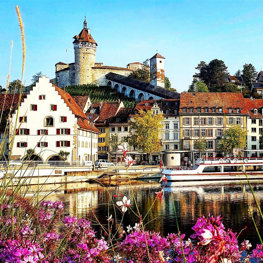 Apartment Suedwind - Beautiful Premium Apartment With 2 Bedrooms Near Rhine Falls & Zurich Airport In Klettgau Weisweil  Kültér fotó